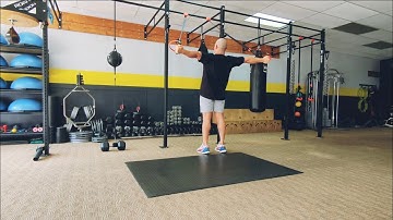 TRX/Suspension Row to Reverse Fly (demo)