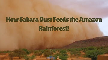How Sahara Dust Creates Amazon Rainforests