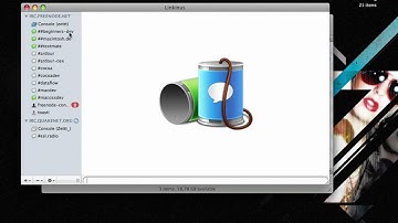 IRC Mac HowTo: Colloquy und Linkinus