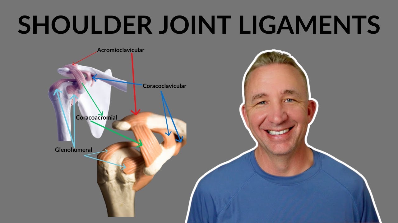 Identifying Shoulder Joint Ligaments