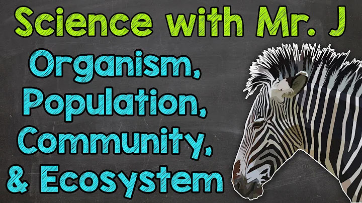 Organism, Population, Community, and Ecosystem | Levels of Ecology | Ecosystems