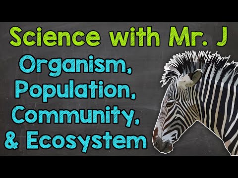 Organism, Population, Community, and Ecosystem | Levels of Ecology | Ecosystems