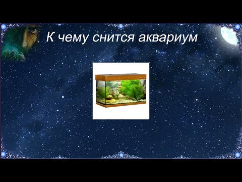 К чему снится Аквариум (Сонник)