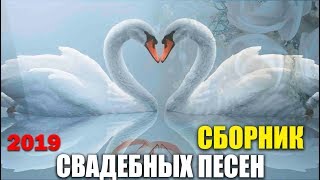 Свадебный сборник - классные песни - веселые и лирика!!!! Свадебный сборник - классные песни - веселые и лирика!!!!