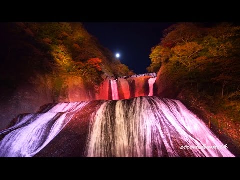 袋田の滝 紅葉ライトアップ Japan Fukuroda Big Waterfall Fantastic Autumn Leaves Light Up 日本三名瀑 夜景 night view