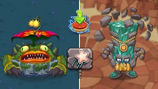 Rare Maulch, Adult Syncopite - All Animations & Powering Up (My Singing Monsters)