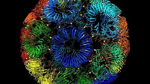 Nature Journal - Synthetic Spherical Protein at JSI (english subt)