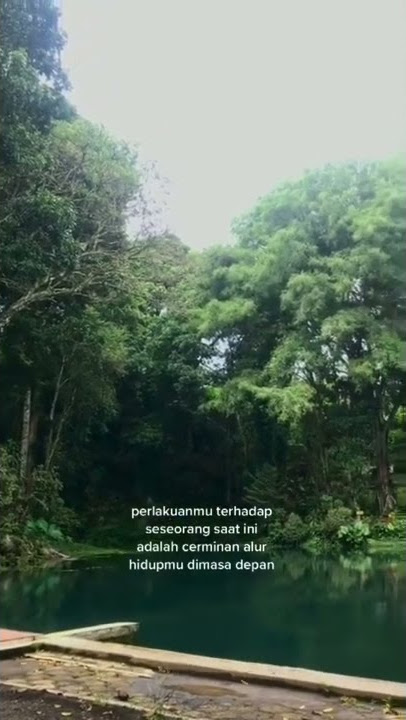 STORY WA KATA' KEREN TERBARU \\ STORY WA 30 DETIK TERBARU 2022 #storywa #viral #pyp