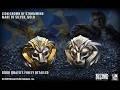 Lion Crown of Stormwind Ring – Anduin Wrynn‘s Official WoW Signet Ring (Silver vs Gold) | STARFORGED