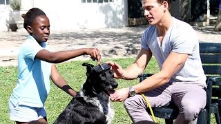 Afternoon Express How To Groom Your Pets 21 Oct 2015