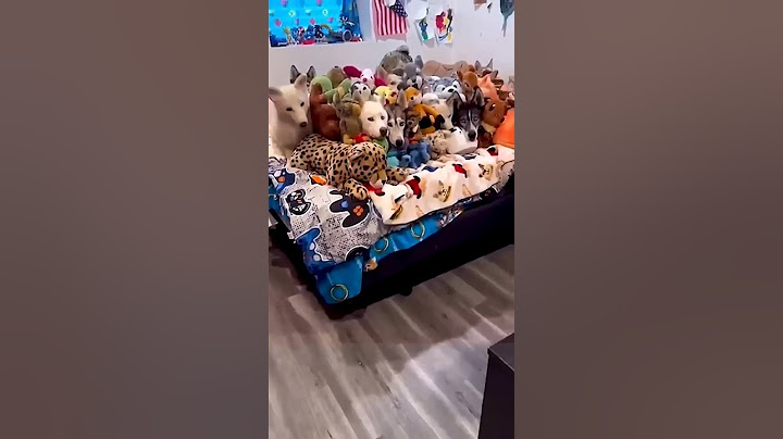 يلا بينا حفله 🎉🥳😅