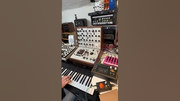 EMS Synthi A, Soundgas Type 636P2, Stereo Space Echo, Beat Friend,  #synth #electronicmusic #dub