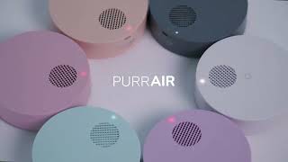 PurrAir 等離子無濾芯空氣清淨機 |省去換濾心的麻煩事!