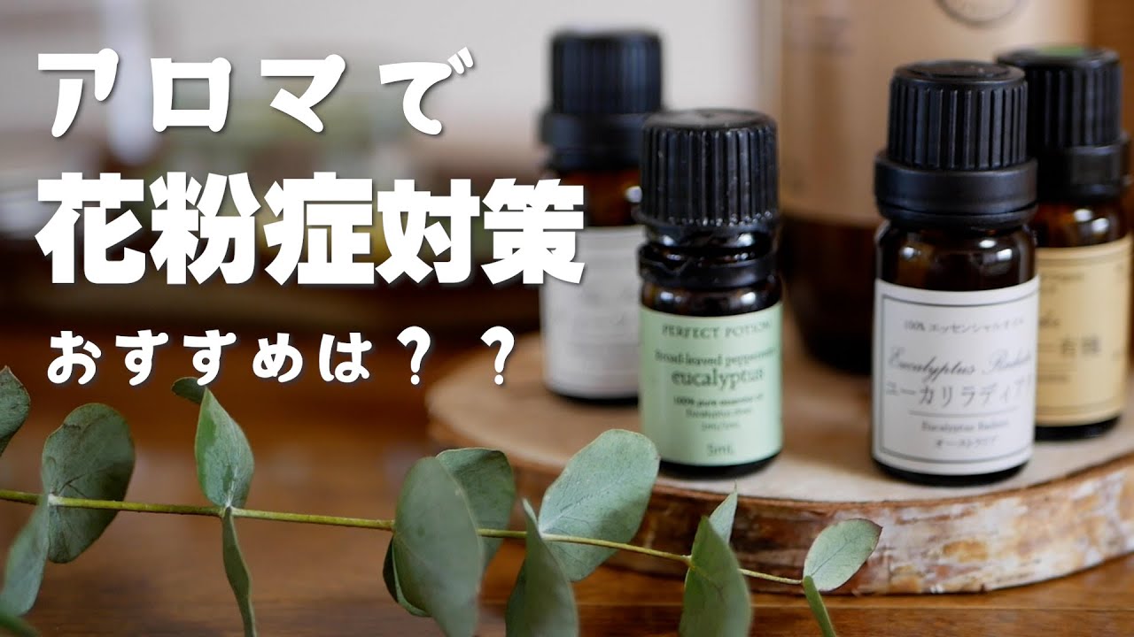 花粉症にアロマ 何選ぶ 初心者におすすめアロマオイル アロマ活用 Youtube