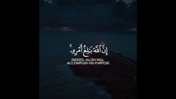 ومن يتق الله يجعل له مخرجا القارئ أحمد النفيس