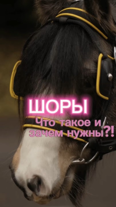 ШОРЫ - Что такое и зачем ОНО надо! - YouTube