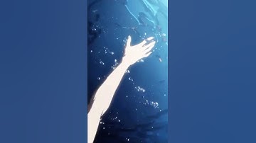 Thumbnail of WHAT DOES IT FEEL LIKE TO DROWN? 😳