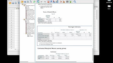 Poisson regression in SPSS
