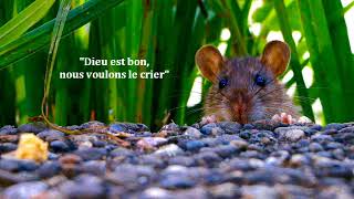 DIEU EST BON NOUS VOULONS LE CRIER chords