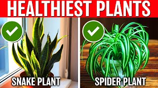 10 HEALTHIEST Indoor Plants Your Home MUST Have Always To Purify Air