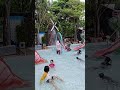main air
