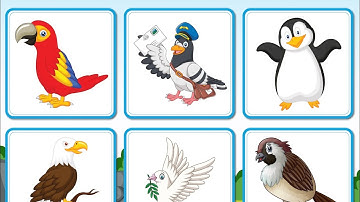 Dạy Bé Học Tiếng Anh Chủ Đề Các Loài Chim | Birds