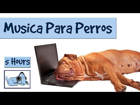 Sonidos y musica suave para perros, mejora la ansiedad por separacion