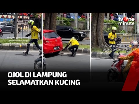 Keren! Seorang Ojol Selamatkan Kucing di Tengah Jalan | tvOne Minute