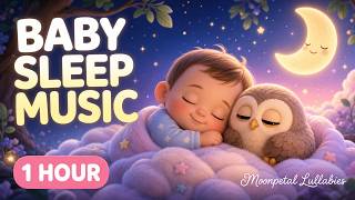 Baby Sleep Music 🦉 1 Hour Little Owl Lullaby 💤 Soft Piano & Harp | Moonpetal Lullabies screenshot 2