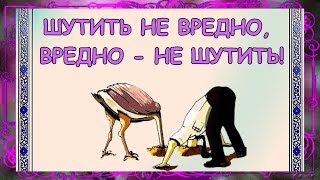 Шутить Не Вредно, Вредно - Не Шутить! Немного Позитива. Веселого Настроения На Весь День !