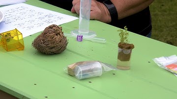 Looking inside a Plantology Kit