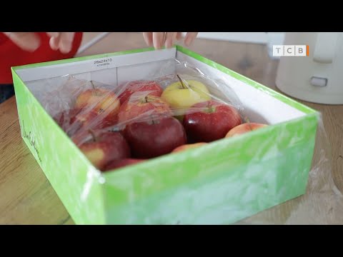 Как сохранить яблоки. 3 способа