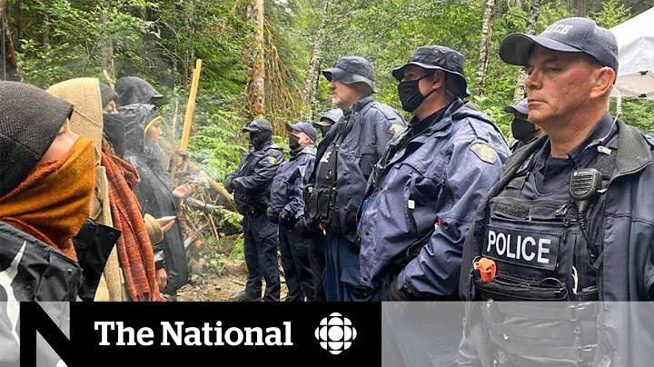 B.C. judge ends injunction against Fairy Creek protests