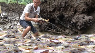 Catch fish in the lake - suck water in the lake - catch a lot of big fish - fishing techniques Ep9