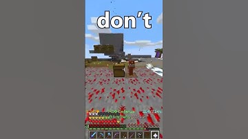 Hypixel Skyblock Moment...