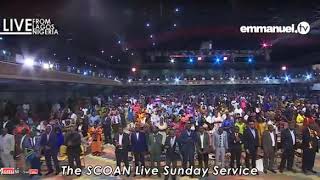 Son of David have mercy on me!