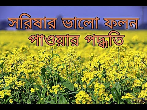 ভিডিও: সরিষা পাতা কেন দরকারী?