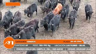 LOTE 03