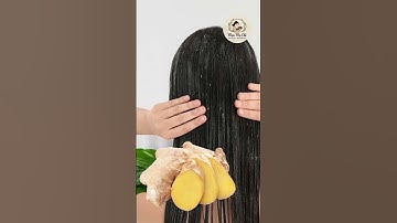 GỪNG TƯƠI TRỊ RỤNG TÓC: MẸO ĐƠN GIẢN HIỆU QUẢ BẤT NGỜ!