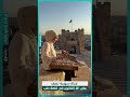 فتاة سورية تعزف على آلة القانون في مدخل قلعة حلب التاريخية سوريا راديو طيف