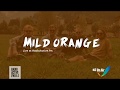 Capture de la vidéo Mild Orange - Live At Radioactive.fm