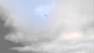 HK Tek-Sumo Vertical Take Off