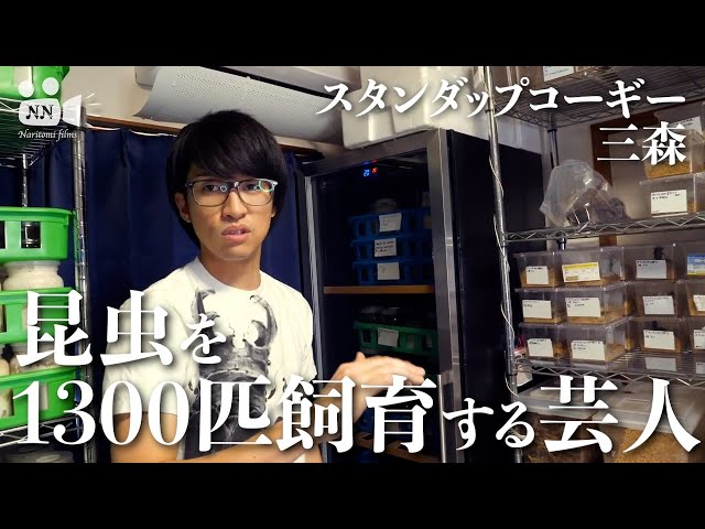 ☆クワカブの部屋☆YouTuber☆三森大輔さん クワカブの部屋 三森ほか】昆虫系YouTuberが一挙集結！ カブト