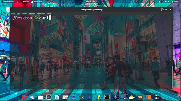 👨‍💻 THE PROGRAM 