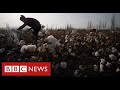 New evidence of Uighur forced labour in China’s cotton industry - BBC News