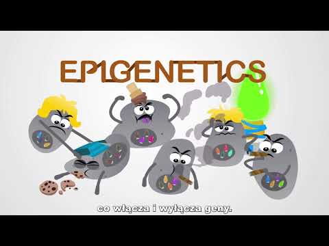 Wideo: ITIH5 Pośredniczy W Epigenetycznym Przeprogramowaniu Komórek Raka Piersi