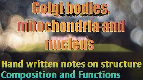 Golgi bodies, Mitochondria & Nucleus l Structure, Composition & Function l learn with aroosa waheed