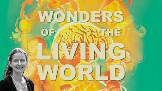 Wonders of the Living World  Trailer