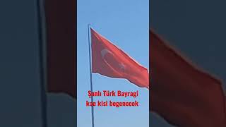 Şanlı Türk Bayrağı