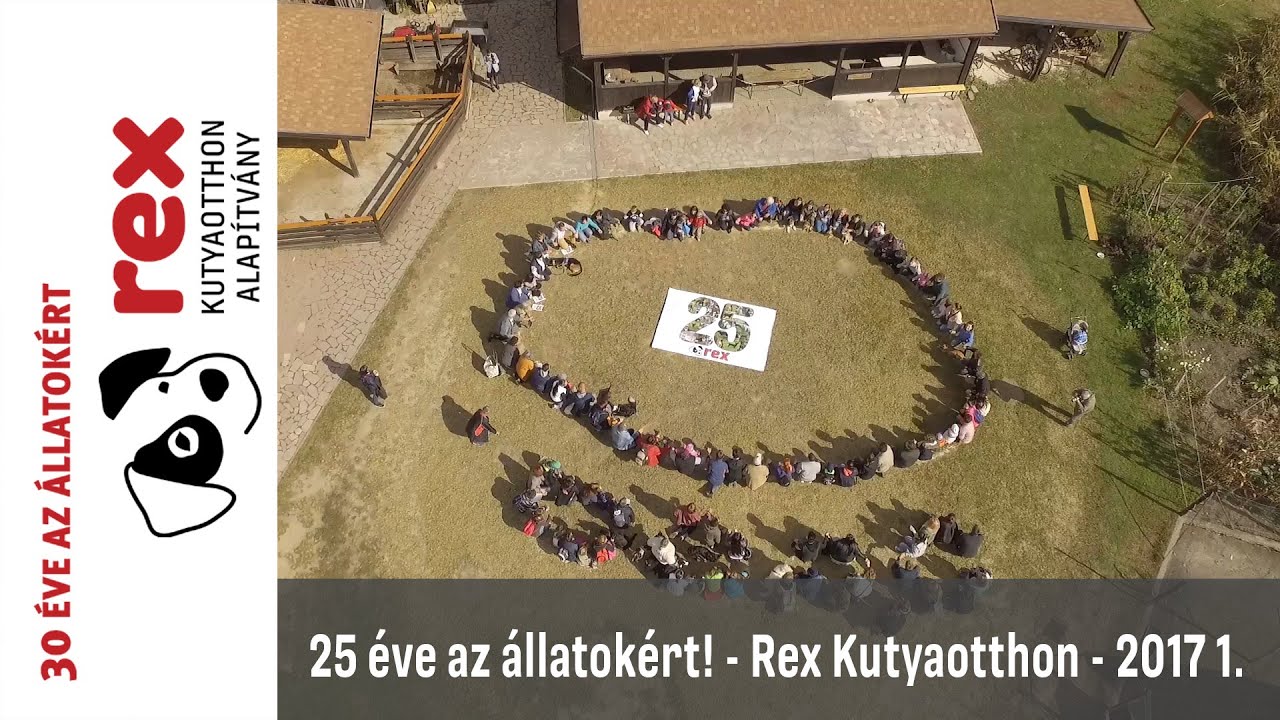 Rex állatsziget Születésnap